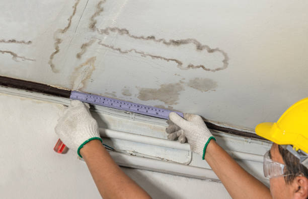 Reliable Mold Remediation contractor in Cedar Mountain, NC by Water Damage Irwin